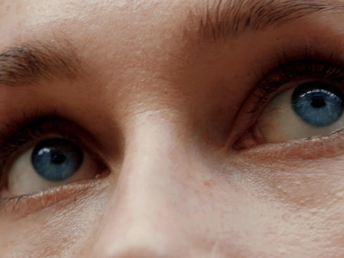 still from surrounded